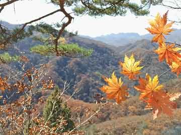 城口黄道国最新任职,城口黄道国最新任职，引领地方发展的杰出领导者