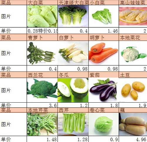 今日蔬菜价格行情分析与概览