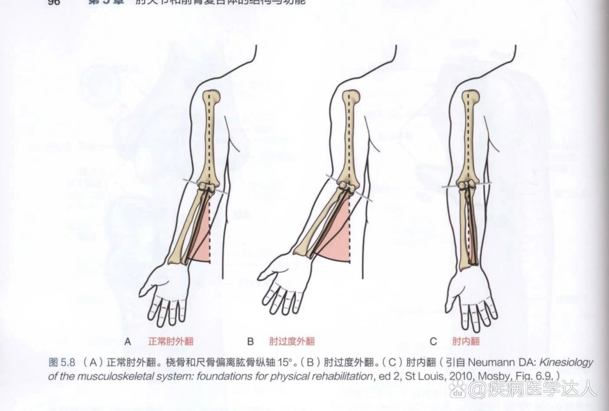 肘内翻最新矫正技术探索，现状与未来展望