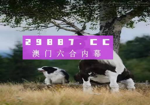 楼梯 第104页