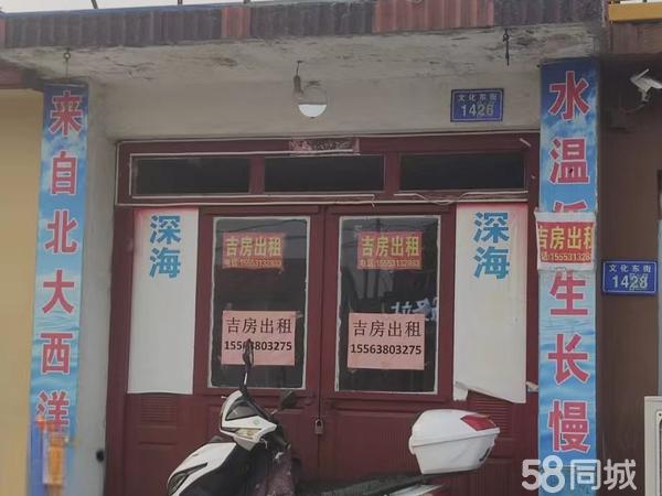 莱州最新店铺出租信息，探索理想商业空间