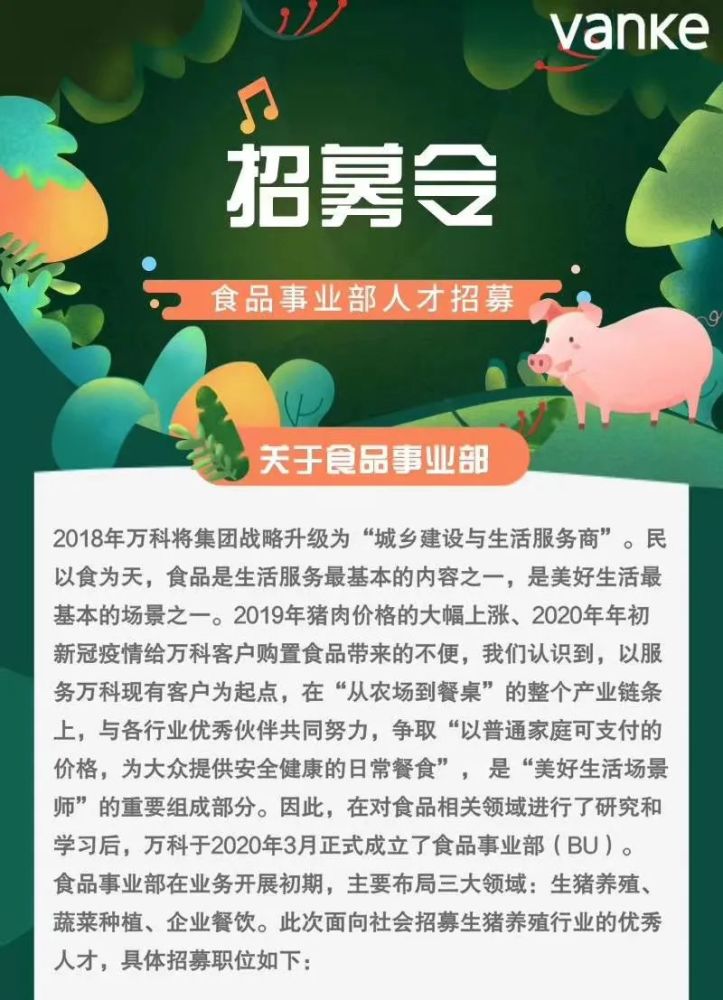 养猪场最新招聘信息概览与探讨，招募人才共建畜牧业未来之星