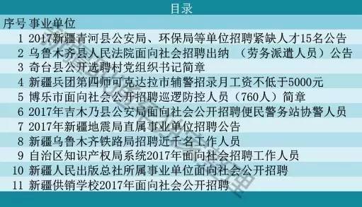 乌鲁木齐市财政局最新招聘信息概览，职位、要求与待遇全解析