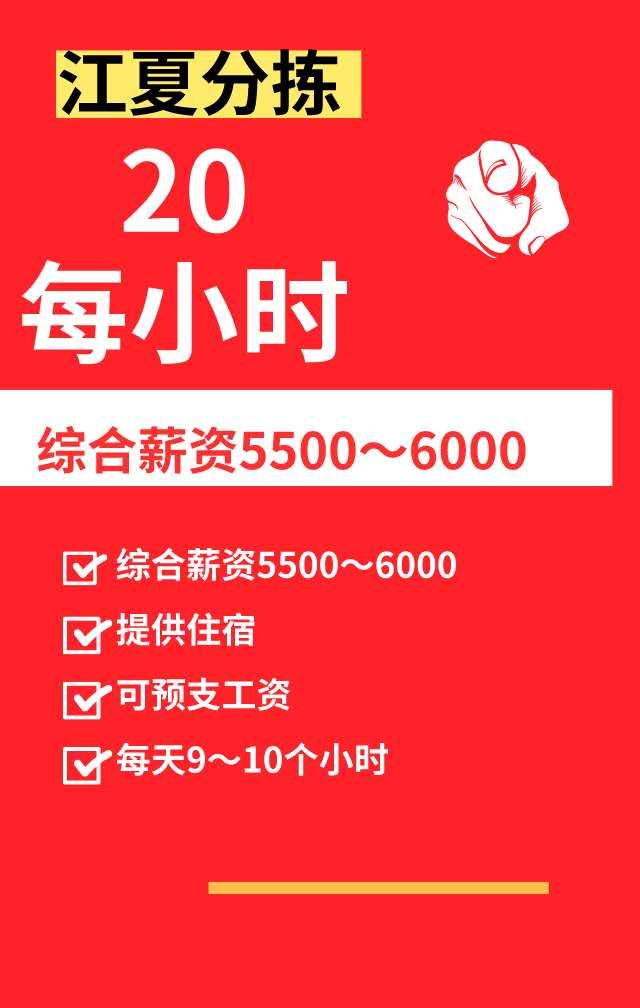 青岛日结工资最新招聘，探索机遇，高薪等你来！